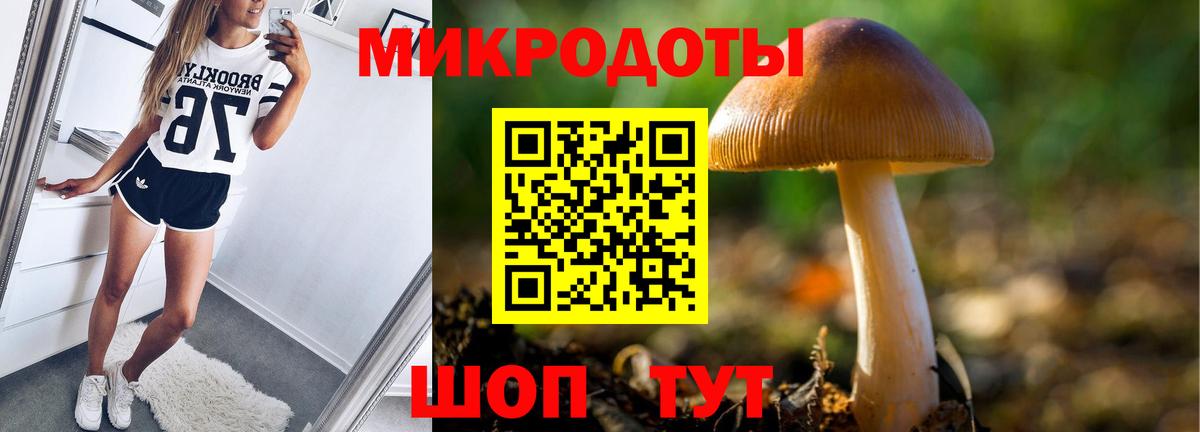 Псилоцибиновые грибы мухоморы Кольчугино